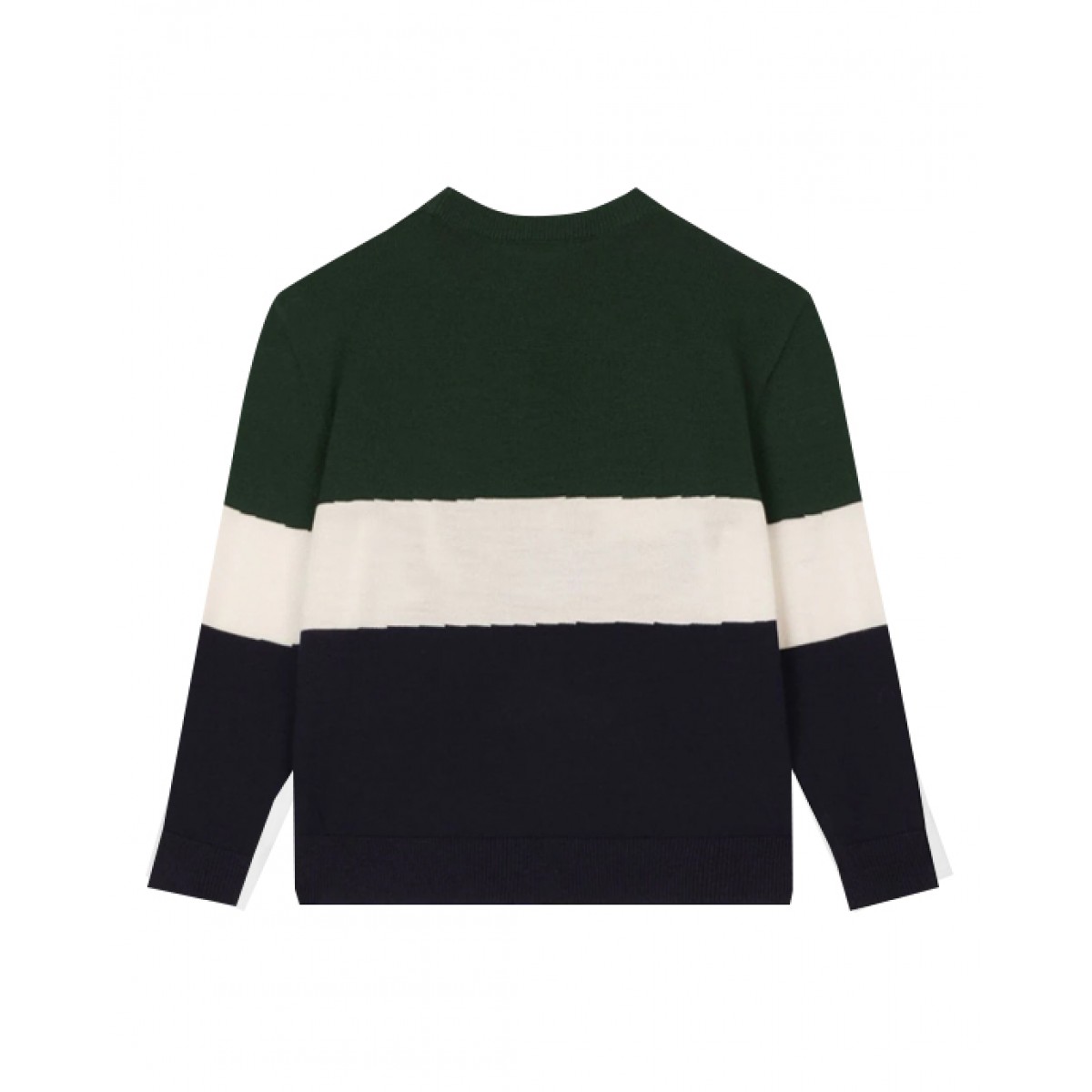 Multicolored Lion intarsia wool jumper for kids