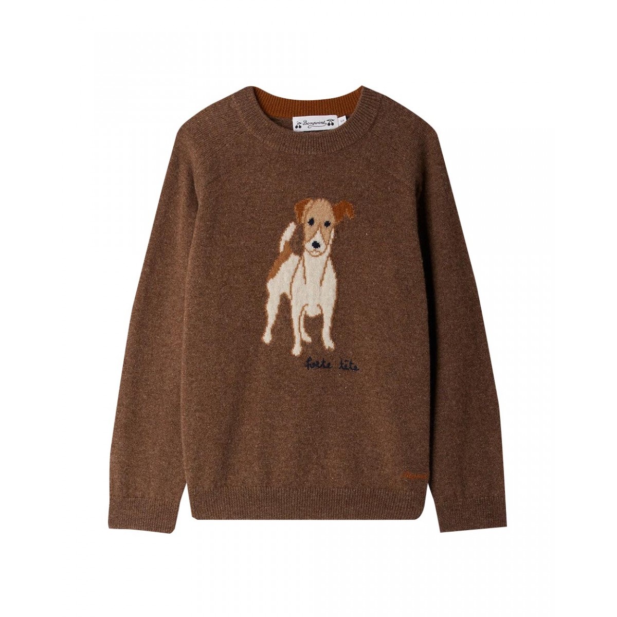 Berlioz jacquard sweater with hand-embroidered cashmere dog