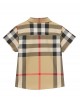 Short-sleeve Check cotton shirt