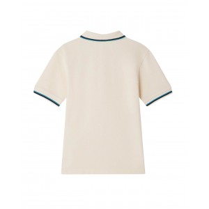 Edric polo with a striped collar