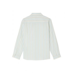 Linton striped shirt in organic cotton poplin