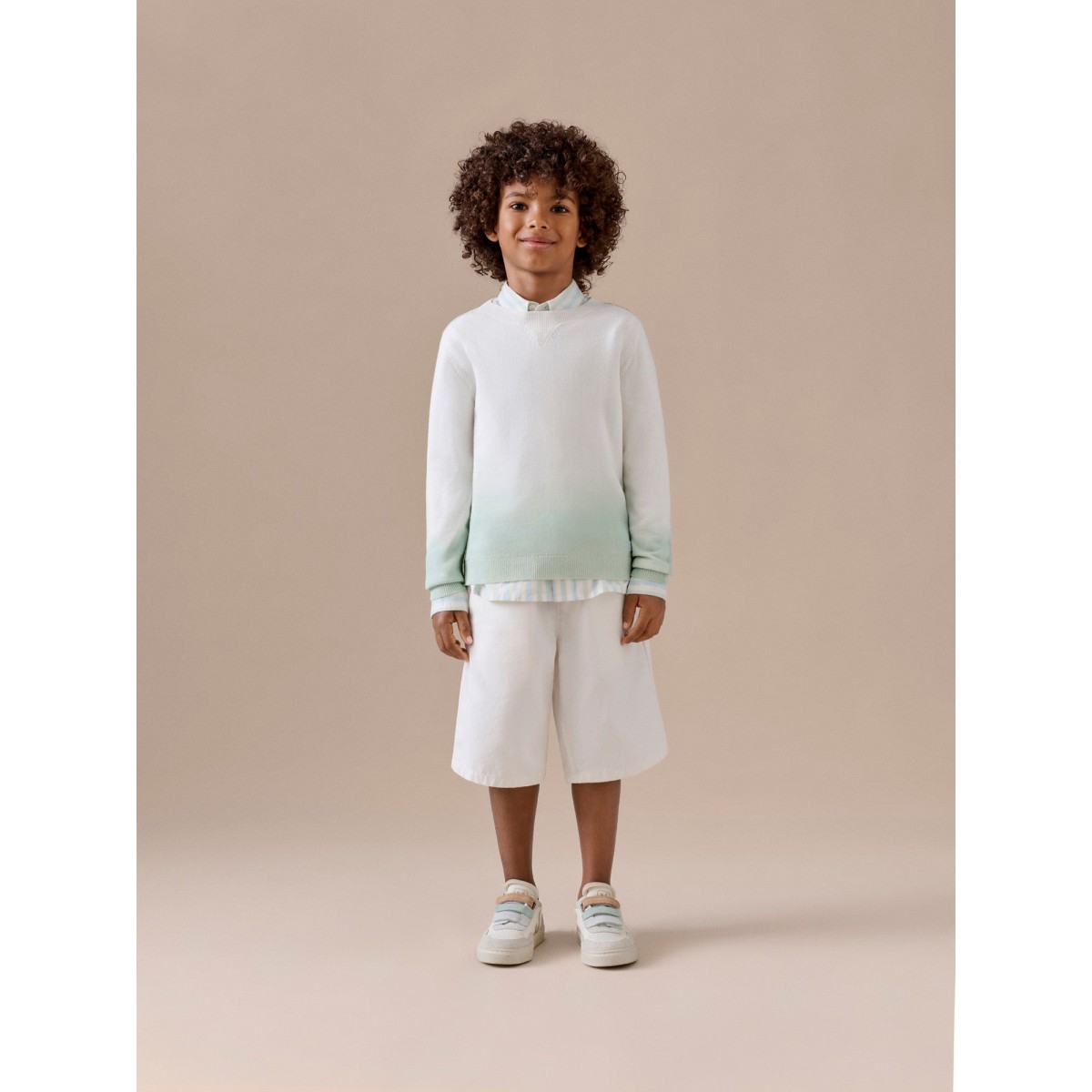Linton striped shirt in organic cotton poplin